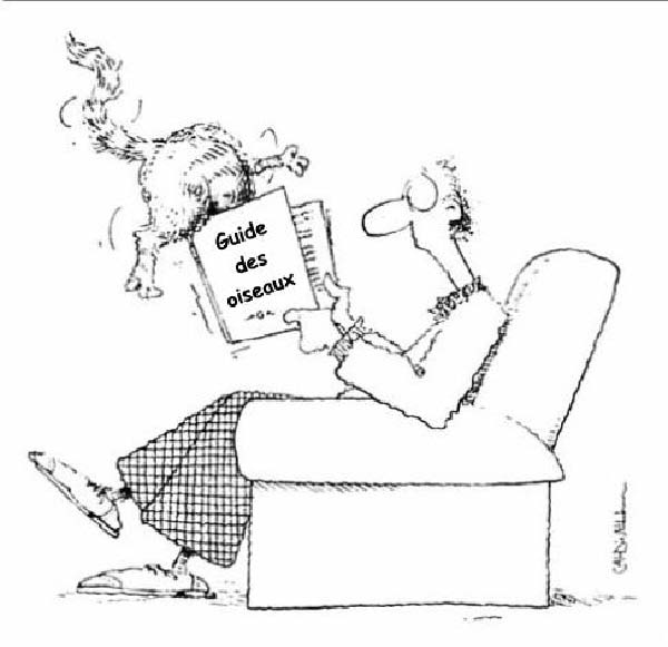 Guide des oiseaux-humourenvrac